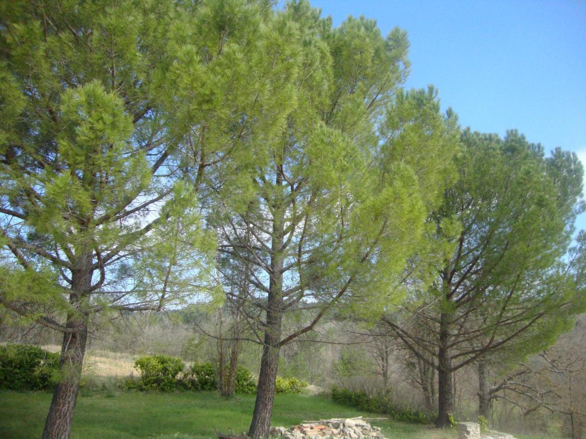 La Croix Du Sud - Ocres En Provence Villa Apt Eksteriør bilde
